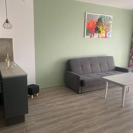 1 Tyskie Z Prywatnym Ogrodkiem شقة
