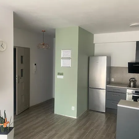 1 Tyskie Z Prywatnym Ogrodkiem Appartement Tychy