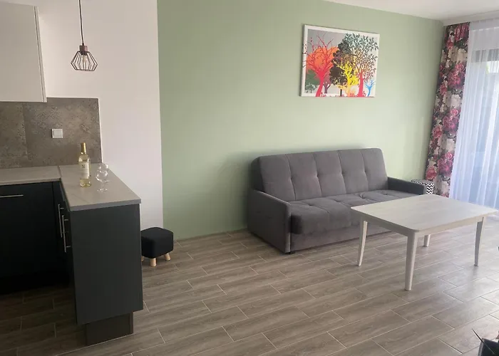 1 Tyskie Z Prywatnym Ogrodkiem Appartement