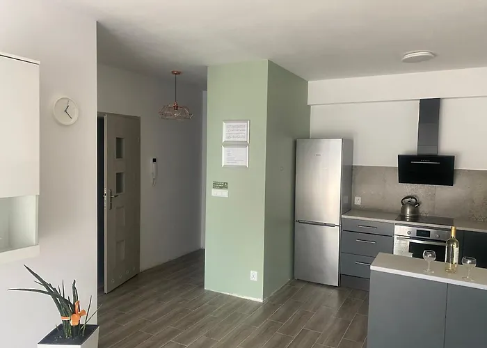 1 Tyskie Z Prywatnym Ogrodkiem דירה טיצ'י